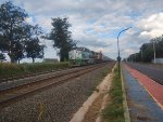 FIBR 8419